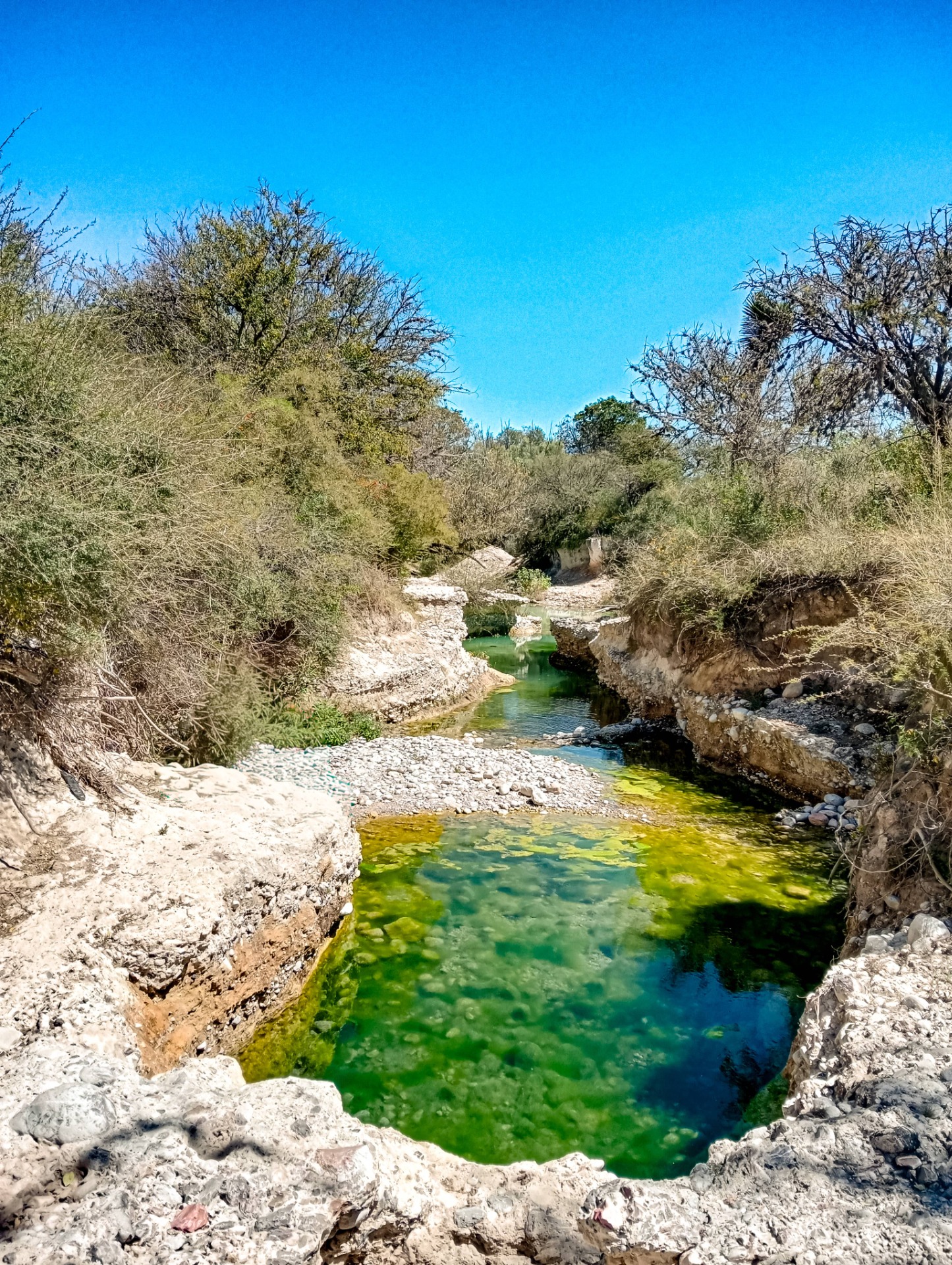 Ojo de Agua, Venado, SLP